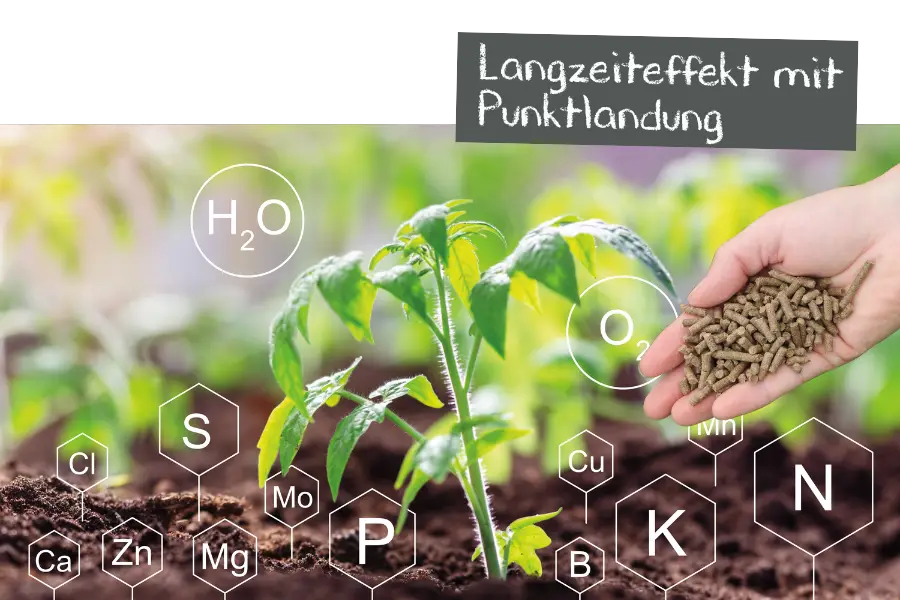 Organisch dngen: Langzeiteffekt mit Punktlandung  Shop Falter Naturdnger