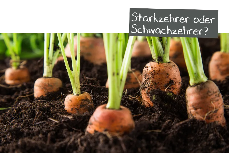 Starkzehrer oder Schwachzehrer?  Shop Falter Naturdnger