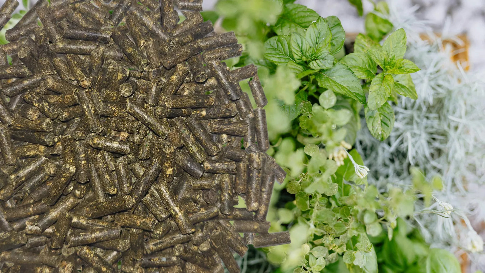 Kleednger  Shop Falter Naturdnger