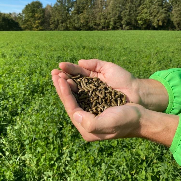 Kleedünger Pellets aus Bio Wiesenklee. Falter Naturdünger.