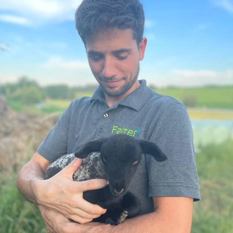 Johann Falter mit einem Schwarzkopfschaf-Lamm