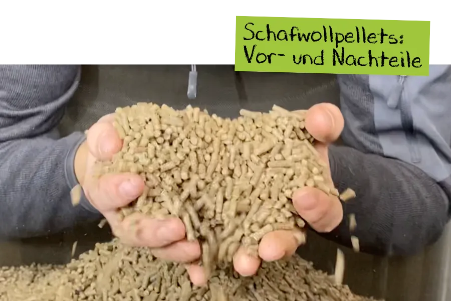 Schafwollpellets als Universaldünger: Vor- und Nachteile