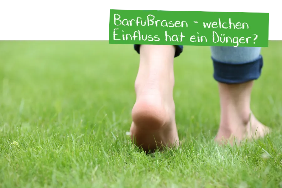 Biorasendünger für Barfußrasen