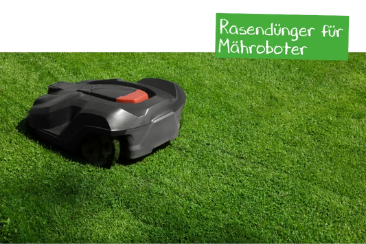 Rasendünger für Mähroboter