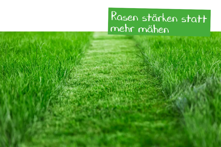 Rasen stärken, statt mehr mähen