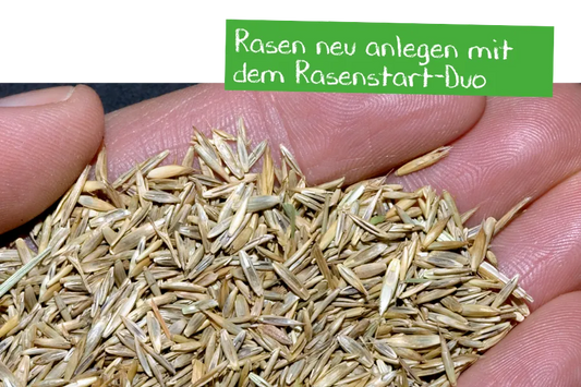 Rasen neu anlegen