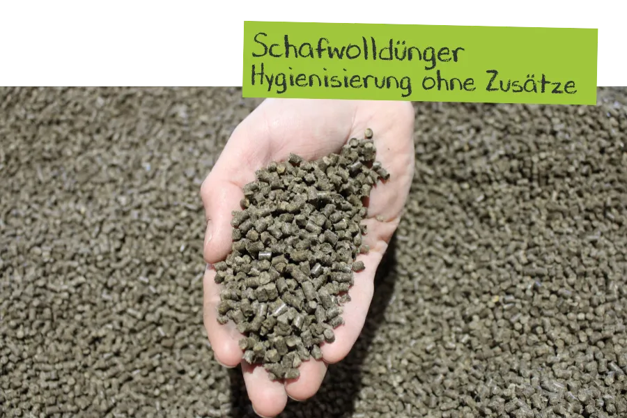 Schafwolldünger - Hygienisierung ohne Zusätze
