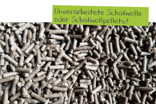 Schafwolldünger-Pellets oder unverarbeitete Schafwolle?