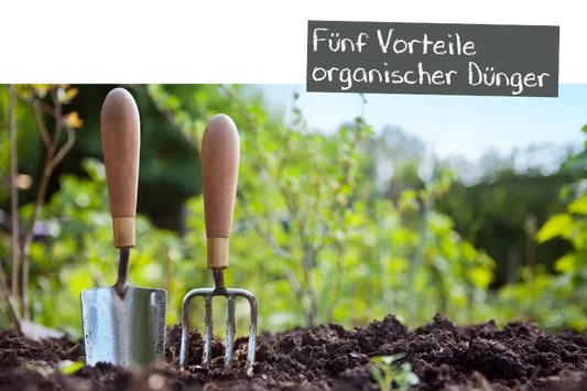 Fünf Vorteile organischer Dünger