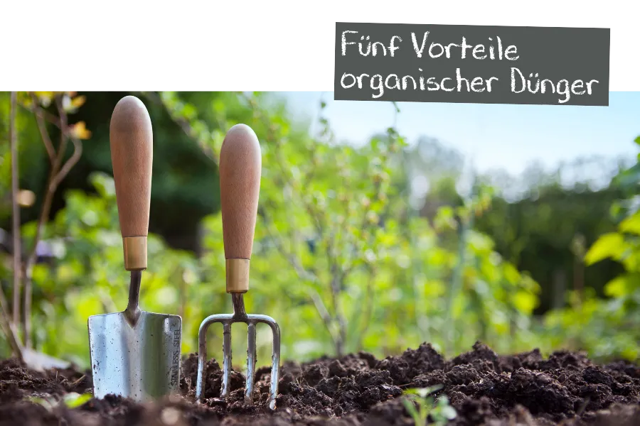 Fünf Vorteile organischer Dünger