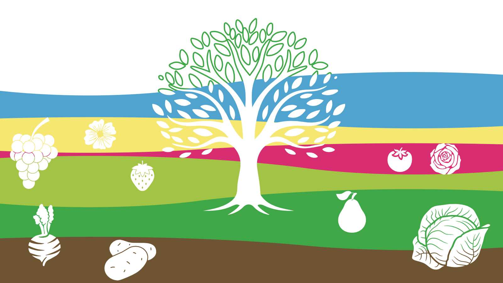 zum Universaldünger