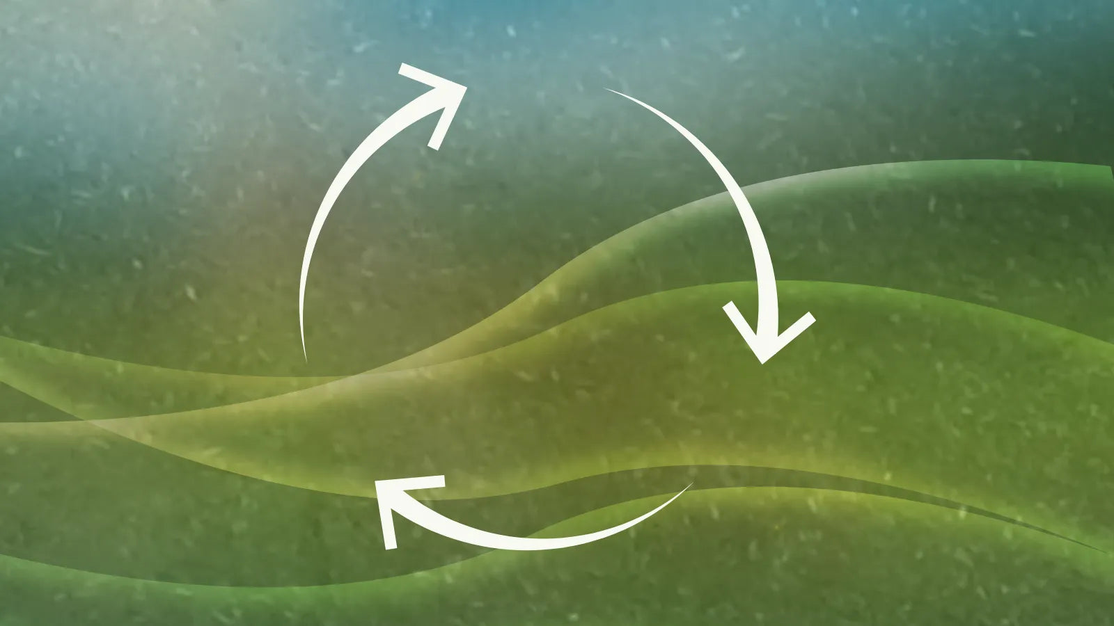 Zum fermentierten Naturdünger Pur + Mix