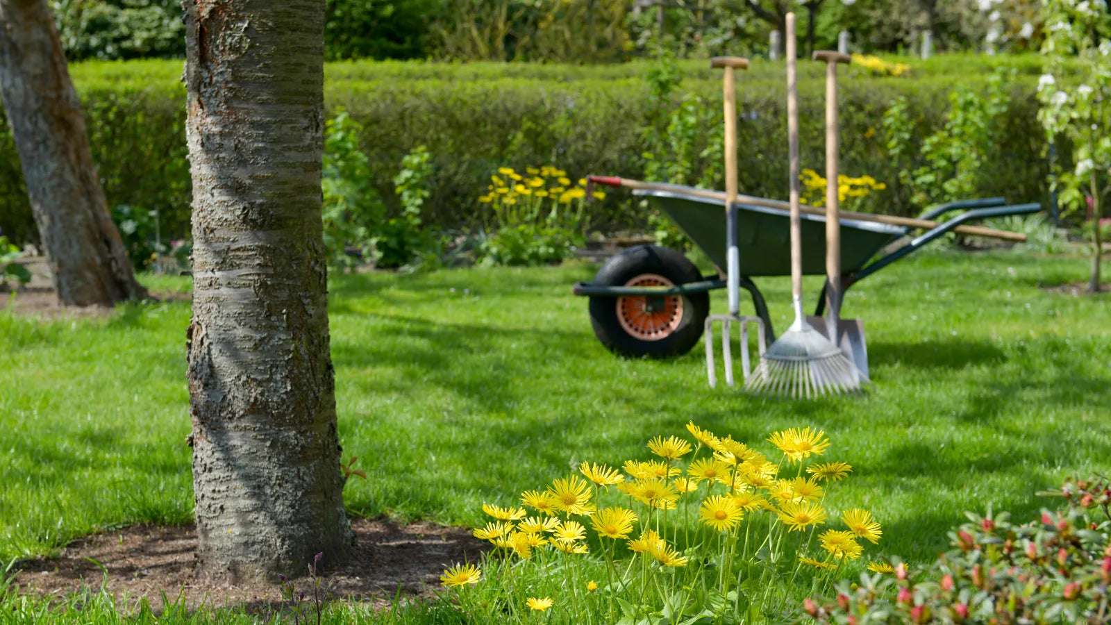 Zu den Naturdüngern und Erden