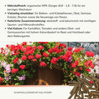 Nährstoffreich: organischer NPK-Dünger (6,8 - 1,9 - 7,9) für ein kerniges Wachstum. Vielseitig einsetzbar: für Balkon- und Kübelpflanzen, Obst, Gemüse, Kräuter, Blumen sowie die Neuanlage von Rasen. Natürliche Zusammensetzung: stickstoff- und kaliumreich mit wichtigen Spuren- und Mikronährstoffen. Viel Kalium: Für Kartoffeln, Tomaten und andere Obst- und Gemüsesorten mit hohem Kaliumbedarf im Beet und Hochbeet oder dem Balkongarten.
