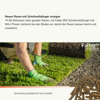 Neuen Rasen mit Schafwolldünger anlegen
→ Ob Rollrasen oder gesäter Rasen, mit Falter BIO Schafwolldünger mit KALI-Power reicherst du den Boden an, damit der Rasen besser keimt und anwächst.