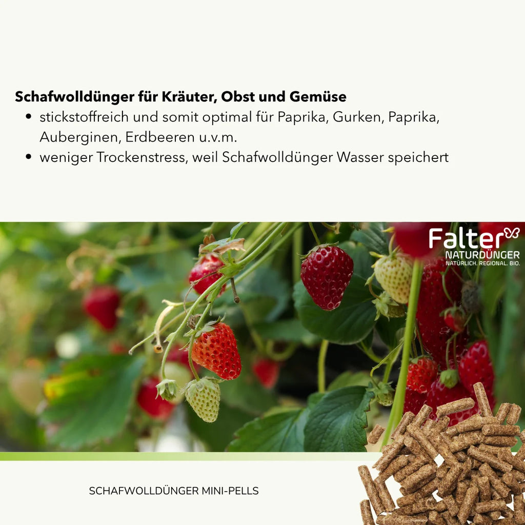 Schafwolldünger für Kräuter, Obst und Gemüse. Stickstoffreich und somit optimal für Paprika, Gurken, Paprika, Auberginen, Erdbeeren u.v.m. Weniger Trockenstress, weil Schafwolldünger Wasser speichert.