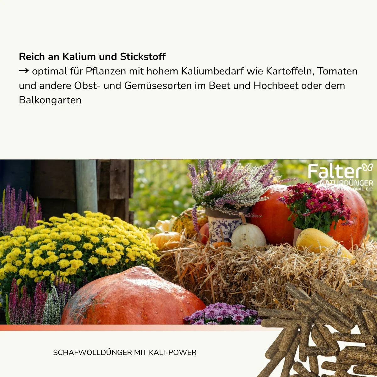 Reich an Kalium und Stickstoff
→ optimal für Kartoffeln, Tomaten und andere Obst- und Gemüsesorten mit hohem Kaliumbedarf im Beet und Hochbeet oder dem Balkongarten
