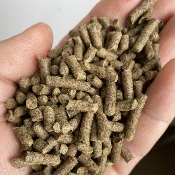 Schafwollpellets in einer Hand