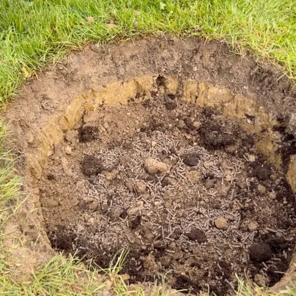 Pflanzloch für einen Baum, gefüllt mit Erde, Aushub und Schafwollpellets
