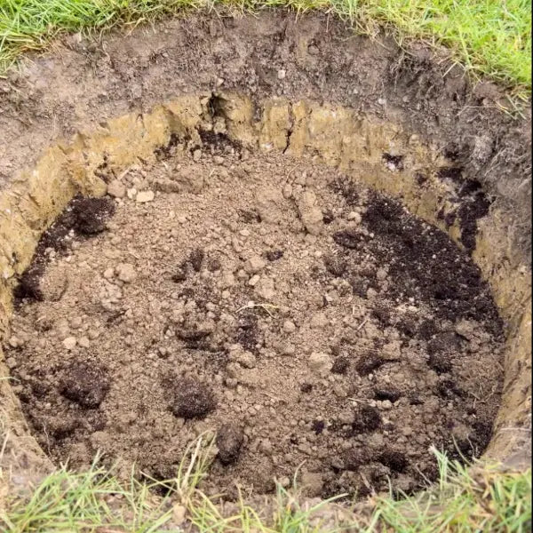 Pflanzloch für einen Baum, gefüllt mit Aushub und Erde