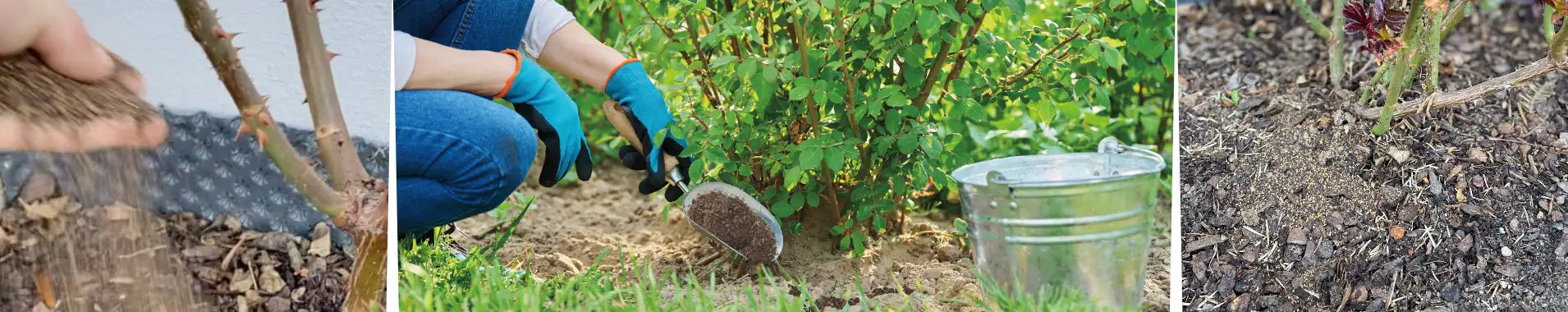 Banner - düngen ohne Einarbeiten