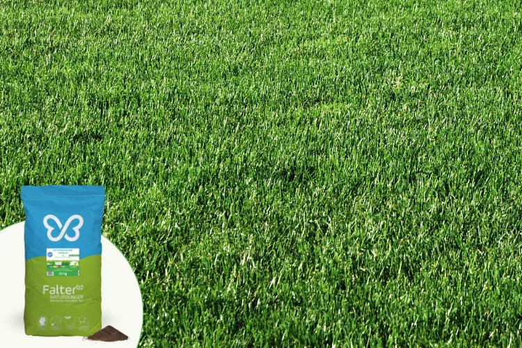 hanf richtig dngen Green Home Hanf- & Cannabis Dnger Set
