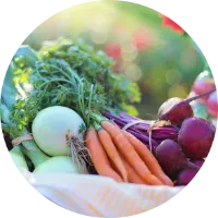 Zu den Düngern für Kräuter, Obst und Gemüse