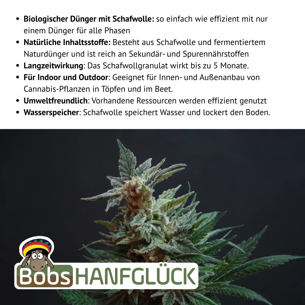 Biologischer Dünger mit Schafwolle: so einfach wie effizient mit nur einem Dünger für alle Phasen. Natürliche Inhaltsstoffe: Aus Schafwolle und fermentiertem Naturdünger. Reich an Sekundär- und Spurennährstoffen. Langzeitwirkung: Das Schafwollgranulat wirkt bis zu 5 Monate. Für Indoor und Outdoor: Geeignet für Innen- und Außenanbau von Cannabis-Pflanzen in Töpfen und im Beet. Umweltfreundlich: Vorhandene Ressourcen werden effizient genutzt. Wasserspeicher: Schafwolle speichert Wasser, lockert den Boden