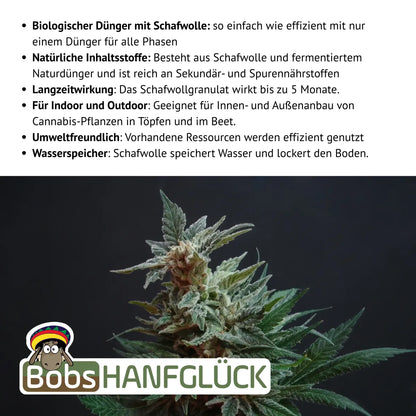 Biologischer Dünger mit Schafwolle: so einfach wie effizient mit nur einem Dünger für alle Phasen. Natürliche Inhaltsstoffe: Aus Schafwolle und fermentiertem Naturdünger. Reich an Sekundär- und Spurennährstoffen. Langzeitwirkung: Das Schafwollgranulat wirkt bis zu 5 Monate. Für Indoor und Outdoor: Geeignet für Innen- und Außenanbau von Cannabis-Pflanzen in Töpfen und im Beet. Umweltfreundlich: Vorhandene Ressourcen werden effizient genutzt. Wasserspeicher: Schafwolle speichert Wasser, lockert den Boden