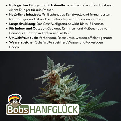 Biologischer Dünger mit Schafwolle: so einfach wie effizient mit nur einem Dünger für alle Phasen. Natürliche Inhaltsstoffe: Aus Schafwolle und fermentiertem Naturdünger. Reich an Sekundär- und Spurennährstoffen. Langzeitwirkung: Das Schafwollgranulat wirkt bis zu 5 Monate. Für Indoor und Outdoor: Geeignet für Innen- und Außenanbau von Cannabis-Pflanzen in Töpfen und im Beet. Umweltfreundlich: Vorhandene Ressourcen werden effizient genutzt. Wasserspeicher: Schafwolle speichert Wasser, lockert den Boden