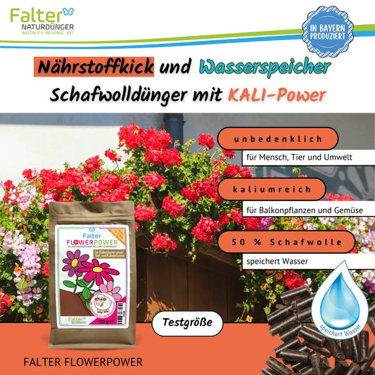 Falter FlowerPower bzw. BIO Schafwolldünger mit KALI-Power 110 g, Testgröße: Nährstoffkick und Wasserspeicher. Unbedenklich für Mensch, Tier und Umwelt. Kaliumreich für Balkonpflanzen und Gemüse. Mit Schafwolle: speichert Wasser.