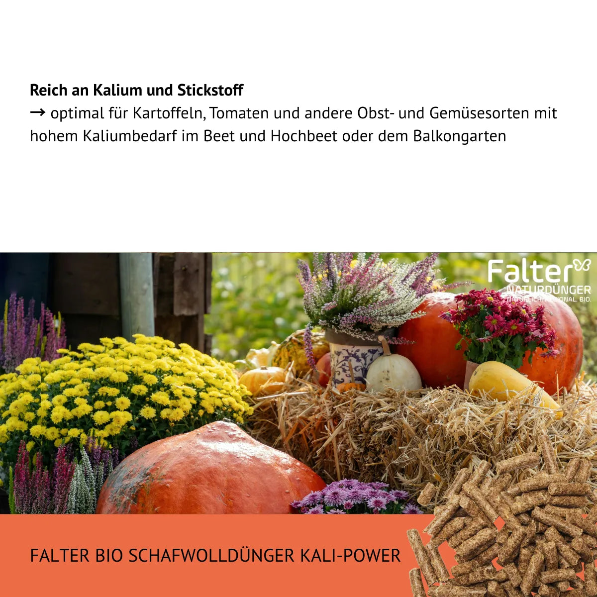 Reich an Kalium und Stickstoff
→ optimal für Kartoffeln, Tomaten und andere Obst- und Gemüsesorten mit hohem Kaliumbedarf im Beet und Hochbeet oder dem Balkongarten
