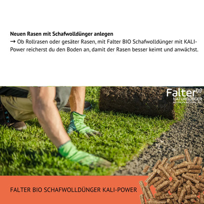 Neuen Rasen mit Schafwolldünger anlegen
→ Ob Rollrasen oder gesäter Rasen, mit Falter BIO Schafwolldünger mit KALI-Power reicherst du den Boden an, damit der Rasen besser keimt und anwächst.