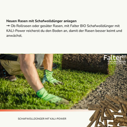 Neuen Rasen mit Schafwolldünger anlegen
→ Ob Rollrasen oder gesäter Rasen, mit Falter BIO Schafwolldünger mit KALI-Power reicherst du den Boden an, damit der Rasen besser keimt und anwächst.