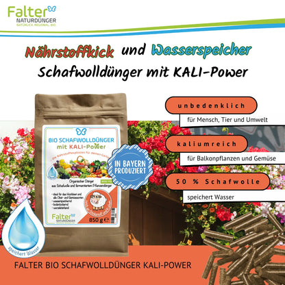 Falter BIO Schafwolldünger mit KALI-Power 850 g: Nährstoffkick und Wasserspeicher. Unbedenklich für Mensch, Tier und Umwelt. Kaliumreich für Balkonpflanzen und Gemüse. Mit Schafwolle: speichert Wasser.