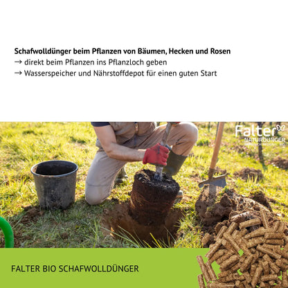 Schafwolldünger beim Pflanzen von Bäumen, Hecken und Rosen
→ direkt beim Pflanzen ins Pflanzloch geben
→ Wasserspeicher und Nährstoffdepot für einen guten Start