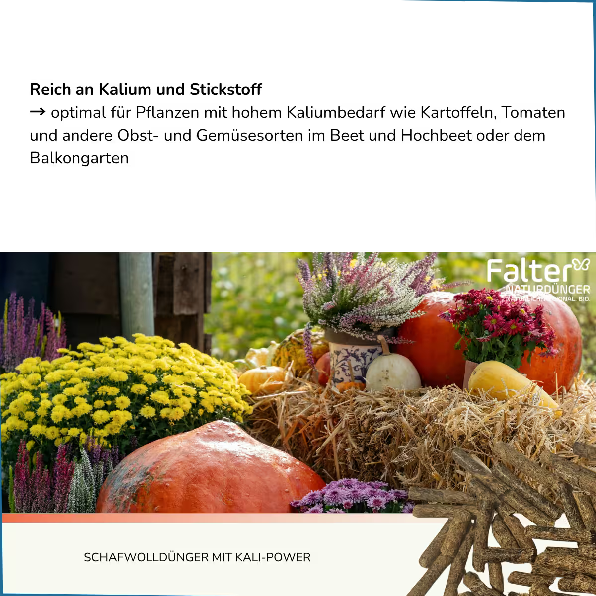 Schafwolldünger mit KALI-Power: Reich an Kalium und Stickstoff
→ optimal als Dünger für Pflanzen mit hohem Kaliumbedarf wie Kartoffeln, Tomaten und andere Obst- und Gemüsesorten im Beet und Hochbeet oder dem Balkongarten
