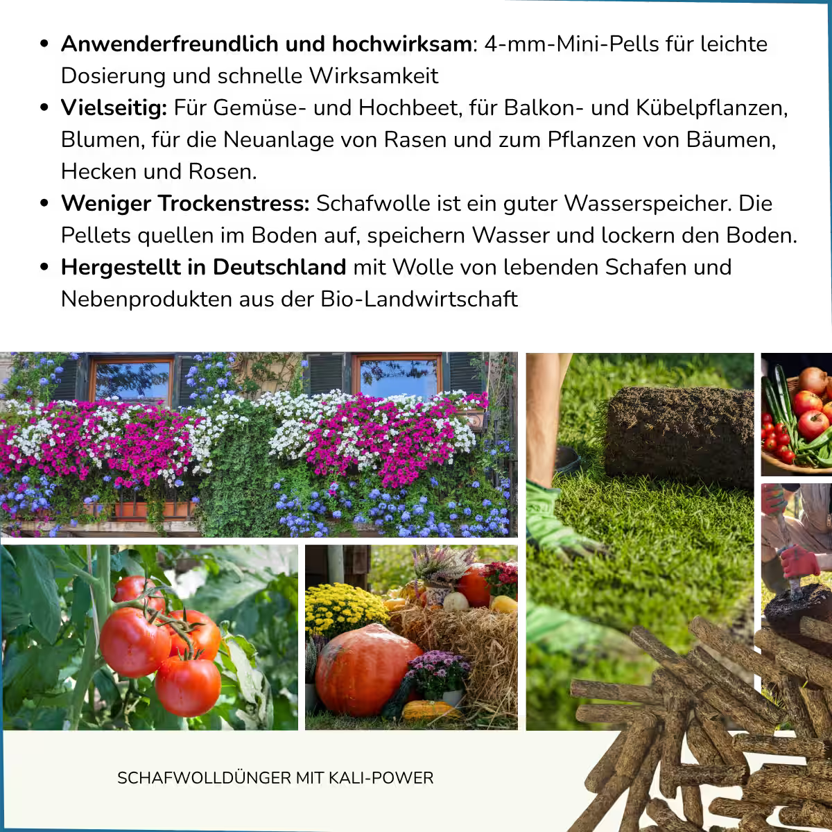 Anwenderfreundlich und hochwirksam: 4-mm-Mini-Pells für leichte Dosierung und schnelle Wirksamkeit
Vielseitig: Für Gemüse- und Hochbeet, für Balkon- und Kübelpflanzen, Blumen, für die Neuanlage von Rasen und zum Pflanzen von Bäumen, Hecken und Rosen.
Weniger Trockenstress: Schafwolle ist ein guter Wasserspeicher. Die Pellets quellen im Boden auf, speichern Wasser und lockern den Boden.
Hergestellt in Deutschland mit Wolle von lebenden Schafen und Nebenprodukten aus der Bio-Landwirtschaft
