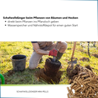 Schafwolldünger beim Pflanzen von Bäumen, Hecken und Rosen
→ direkt beim Pflanzen ins Pflanzloch geben
→ Wasserspeicher und Nährstoffdepot für einen guten Start