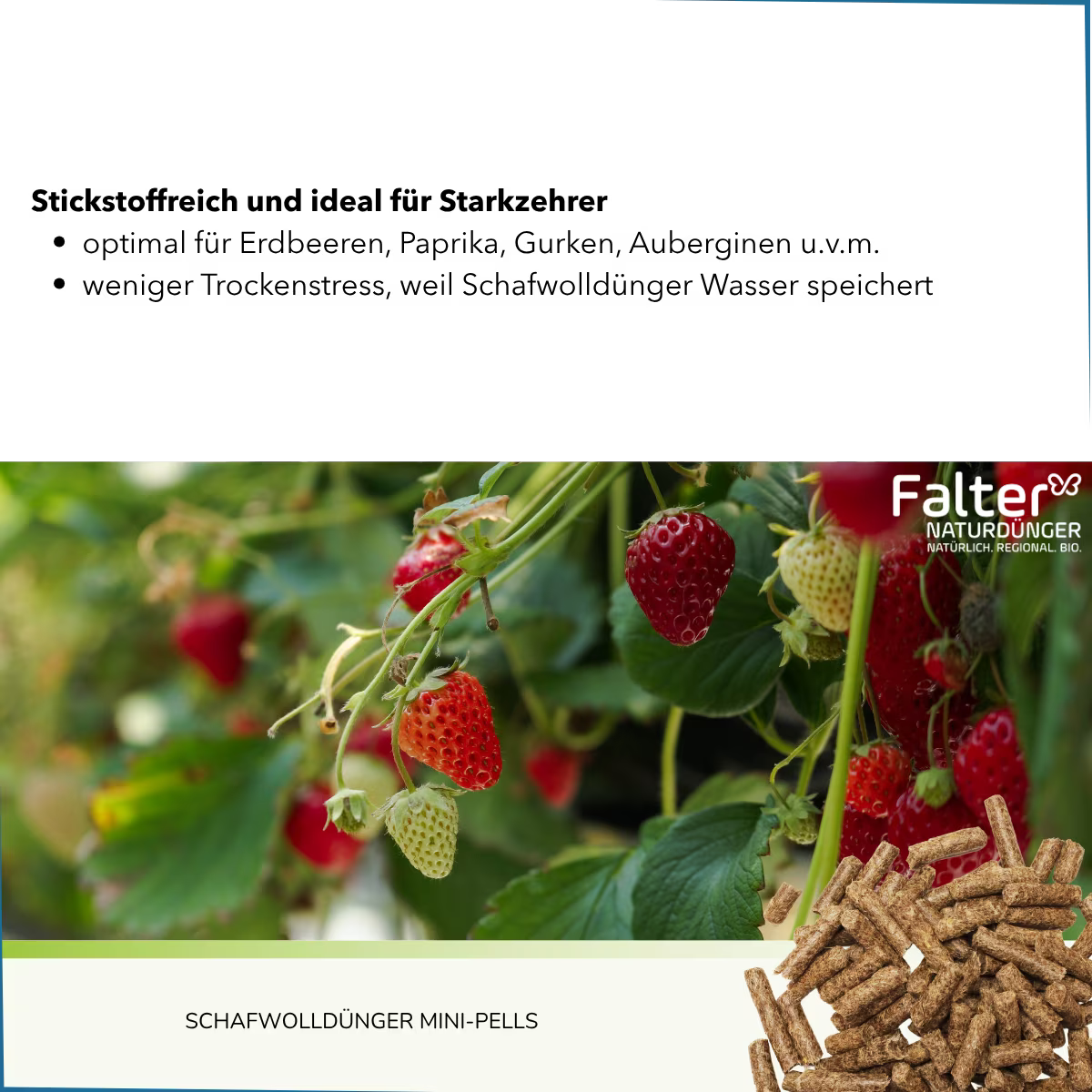 Schafwolldünger für Kräuter, Obst und Gemüse. Stickstoffreich und somit optimal für Erdbeeren, Gurken, Paprika, Auberginen u.v.m. Weniger Trockenstress, weil Schafwolldünger Wasser speichert.