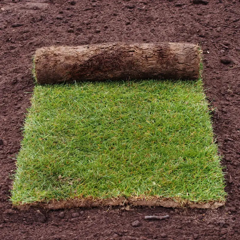 Ein Stück Rollrasen auf dem Gartenboden