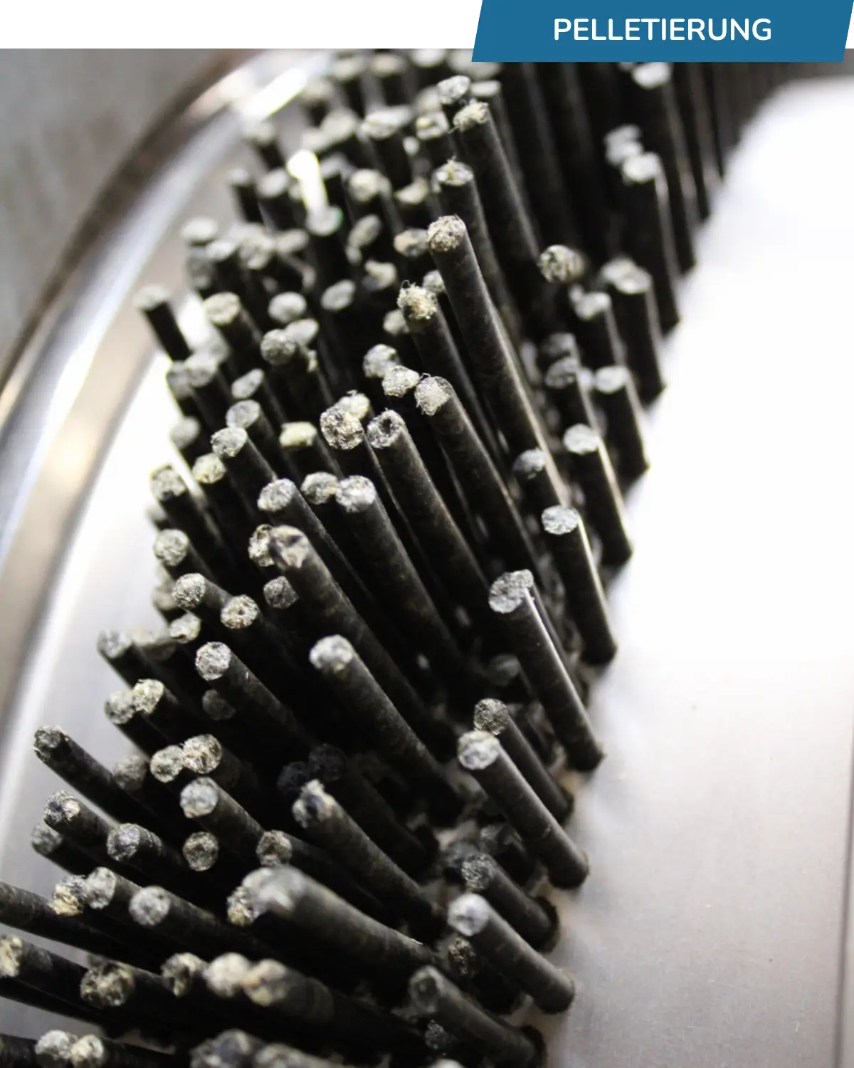 Pellets werden gepresst