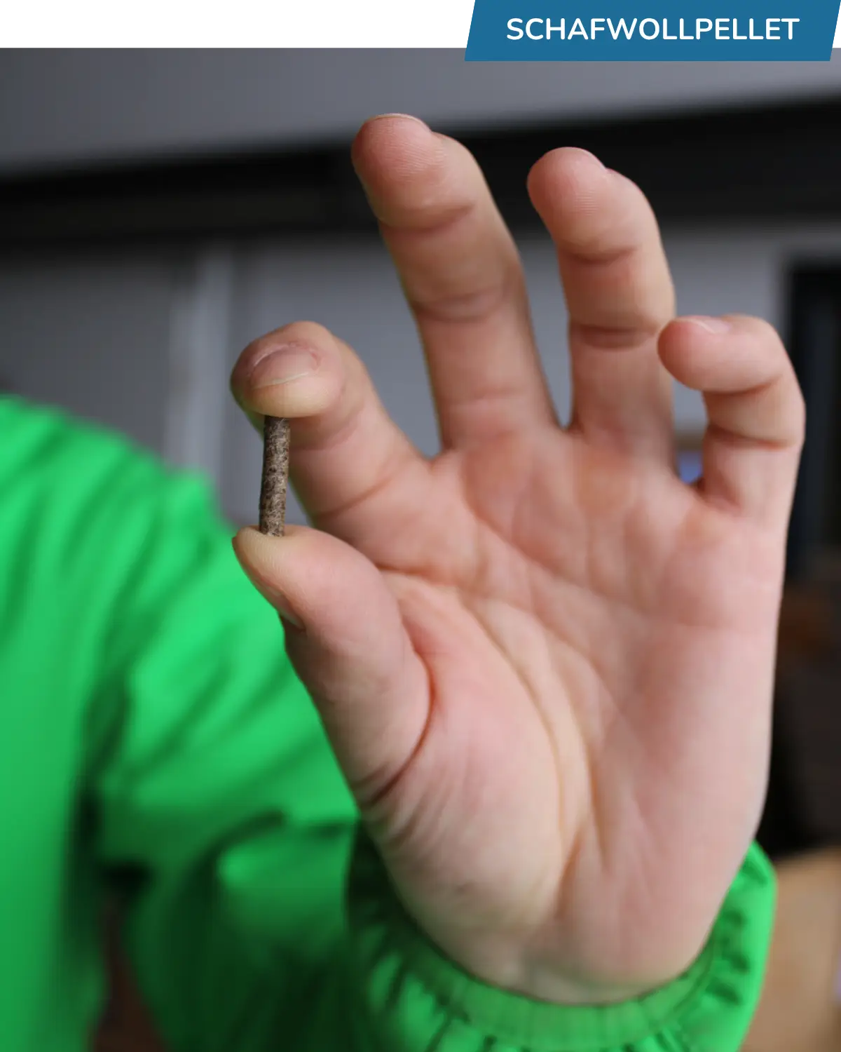 Ein Schafwollpellet zwischen zwei Fingern
