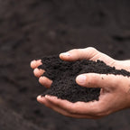 Bio-Erde für Gemüse