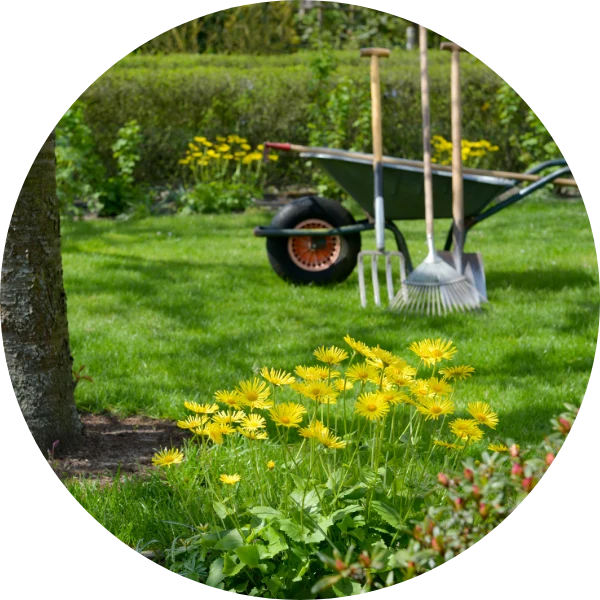 Zu den Naturdüngern und Erden