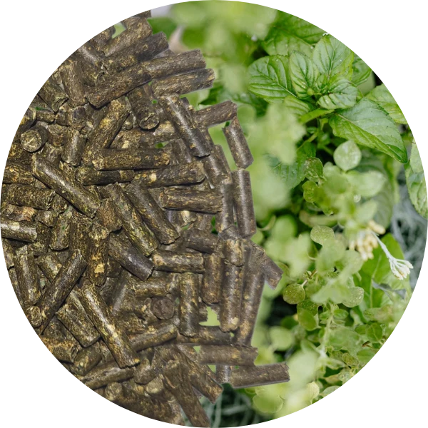 Kleedünger bzw. Veggiedünger