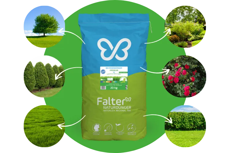 Beschreibung im Text