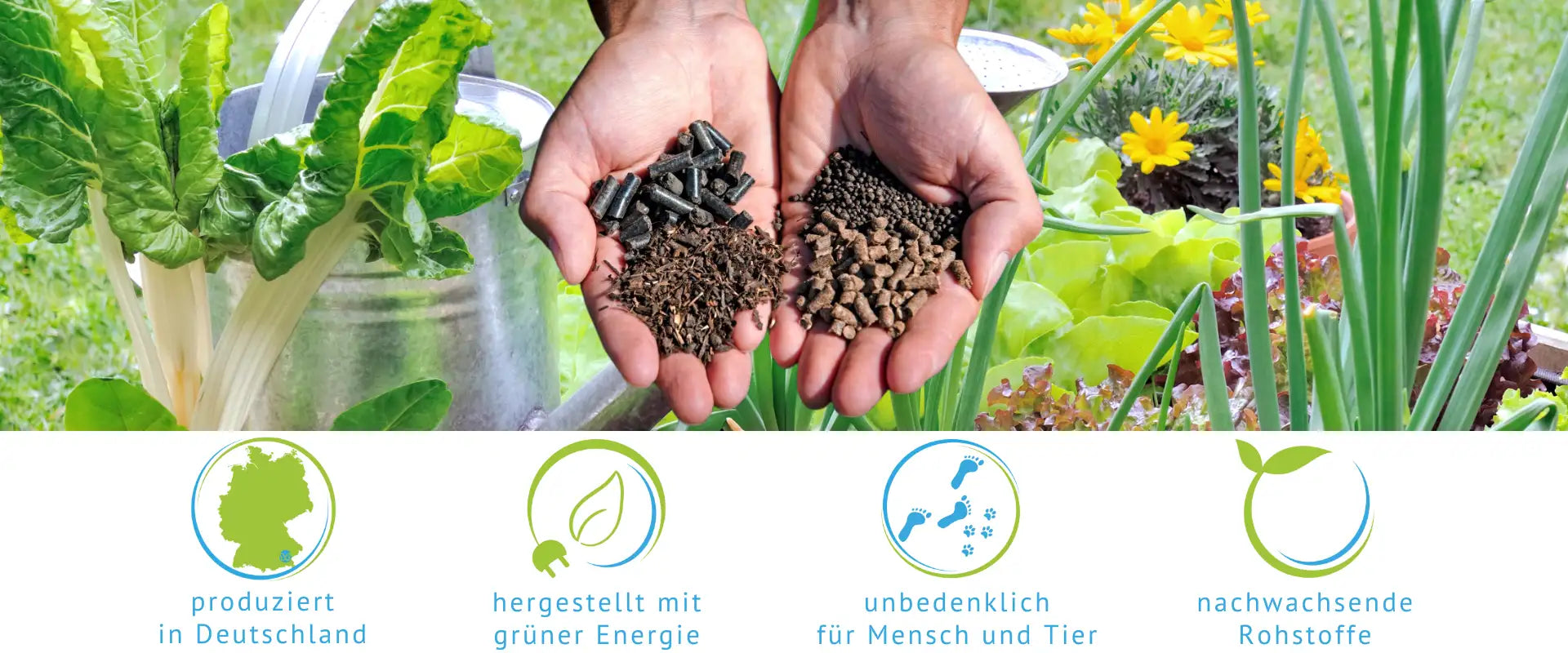 hausmittel dünger für hortensien Hortensien Dünger von Flora Boost main image 1