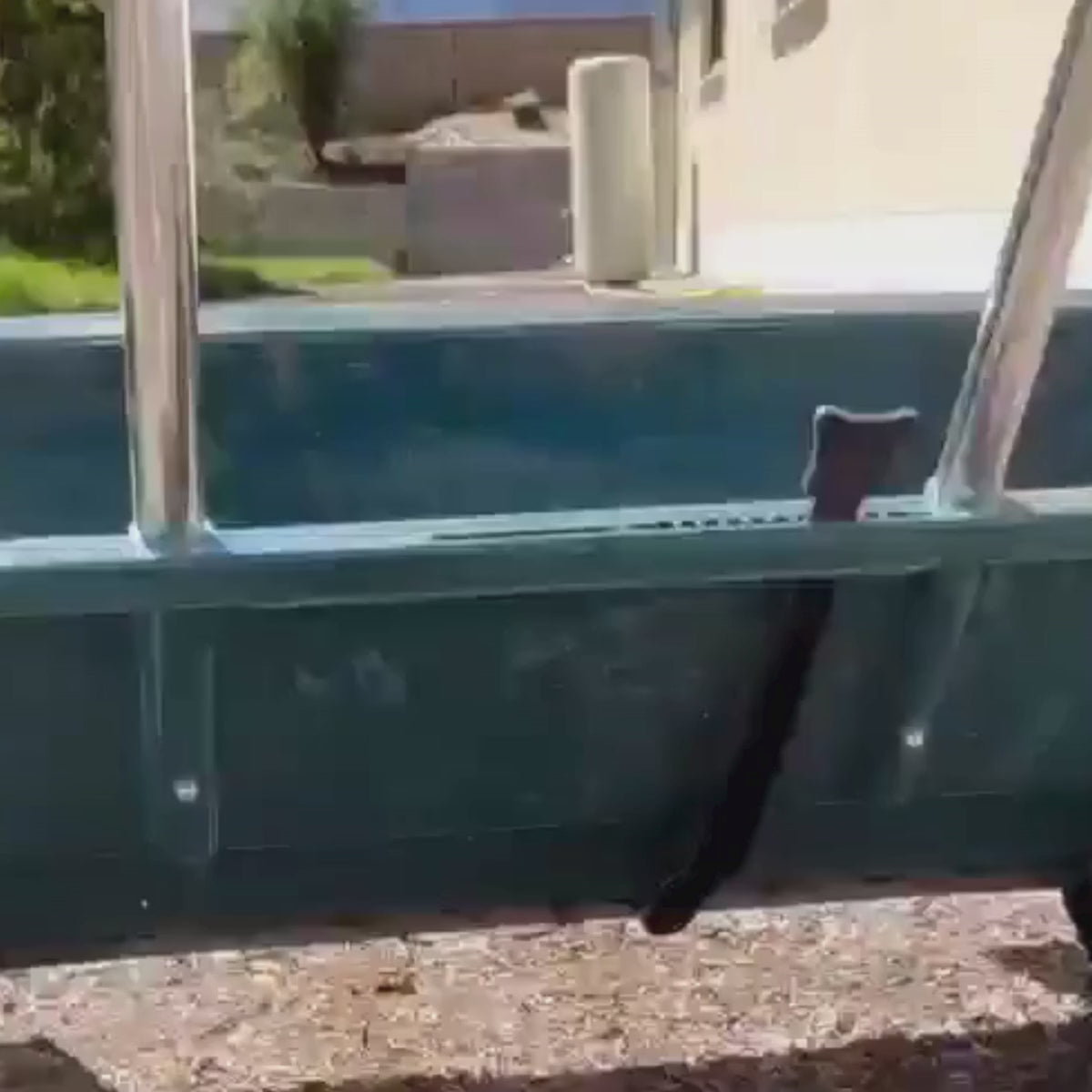 Falter BIO Rasendünger Premium 20 kg