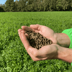 Zwei Hände voll BIO Veggiedünger, im Hintergrund das Feld mit Bio-Wiesenklee